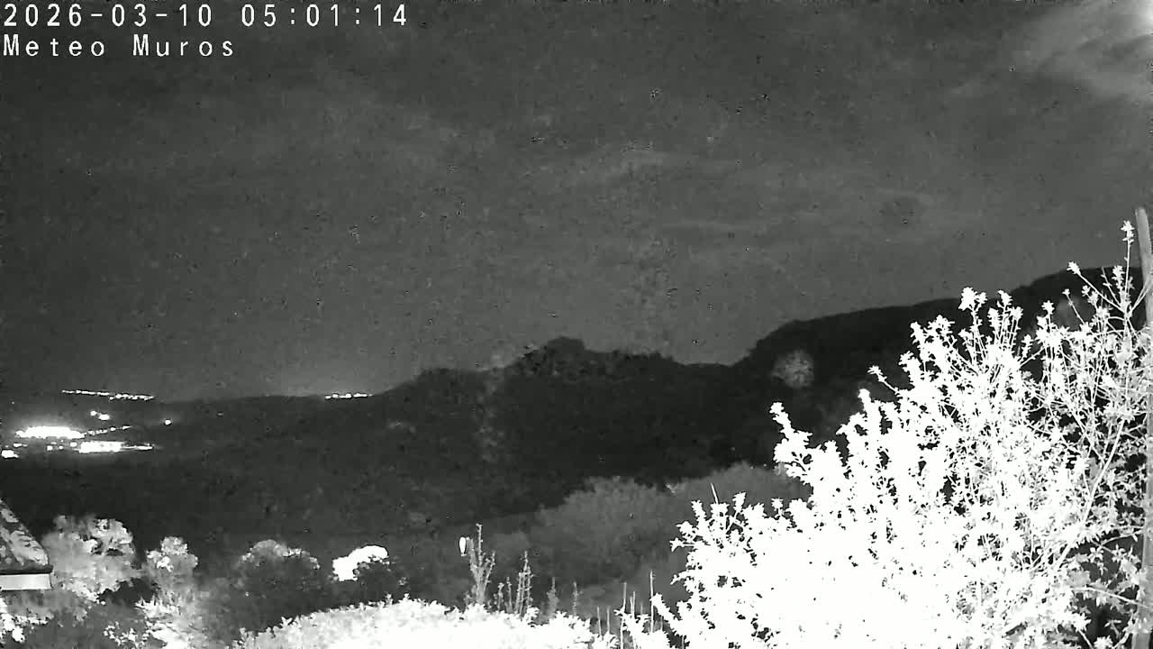 immagine della webcam nei dintorni di Alghero: webcam Muros